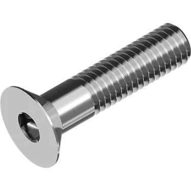 Insexskruv försänkt skalle